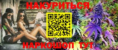 Альфа ПВП Дубна